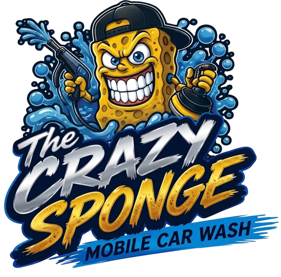 The Crazy Sponge